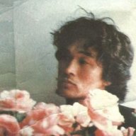 blackrose.