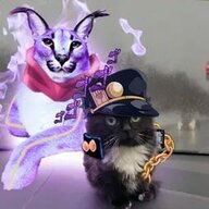 MeCrys