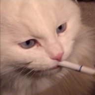 filter cigarettes