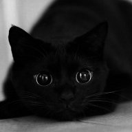 .tanaev