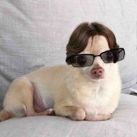 BBChamp