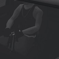 Camllion
