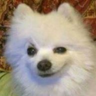 Gehe