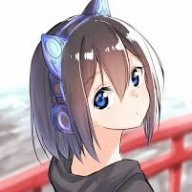 APK