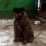 batushka.