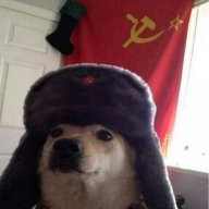 Taro