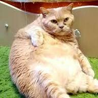 tubz