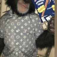 BarabanSantiago