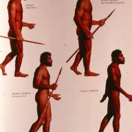 homosapiens