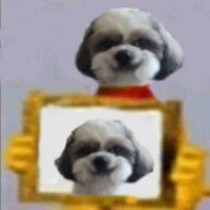 muhtar.exe