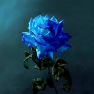 Bluerose