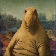 Nonicko