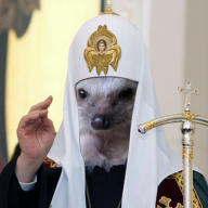 Gryazni