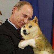 Dogge