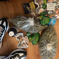 FEB100x