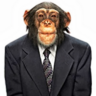 monkeyschulz.