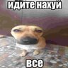Криклов.