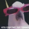 icelollypop