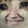 Лифрут