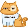 kasatkiiin