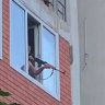 три полоски