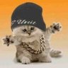 chlenix