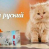 yarusskiy