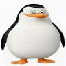 chincov