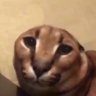 billyherrington