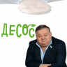 Mr Cock