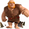 kingbebra