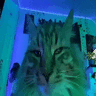 SpiritR