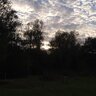 Mitchell_Gray