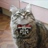 штандартенкот