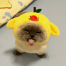 maloysoswaggom