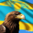 KazakhEagle.