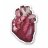 whatislove