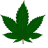 Grove_ponchik228