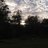 Mitchell_Gray